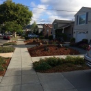 New drought gardens on our path